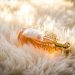 Elegant perfume bottle with gold details resting on fluffy white fur, capturing luxury and glamour.